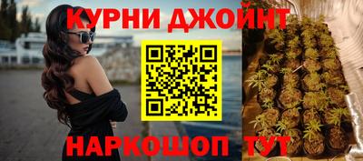 гашик Гай