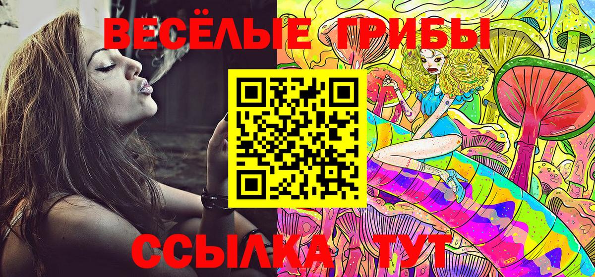 Псилоцибиновые грибы ЛСД Назрань