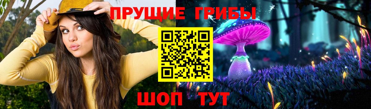 Псилоцибиновые грибы GOLDEN TEACHER  Вход с VPN  Назрань  Галлюциногенные грибы мухоморы 